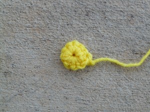The center of the zinnia-to-be