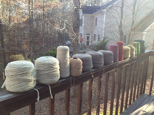Cones of fiber in their natural habitat