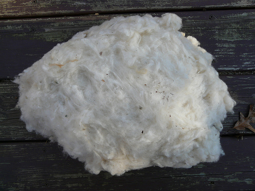 Cotton fiber with debris from the plant